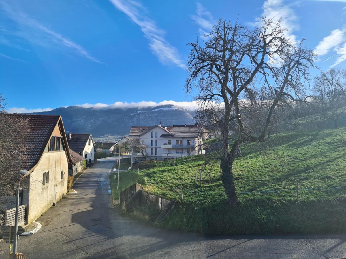 Ferme De La Gibussiere Apartment Presilly  ภายนอก รูปภาพ